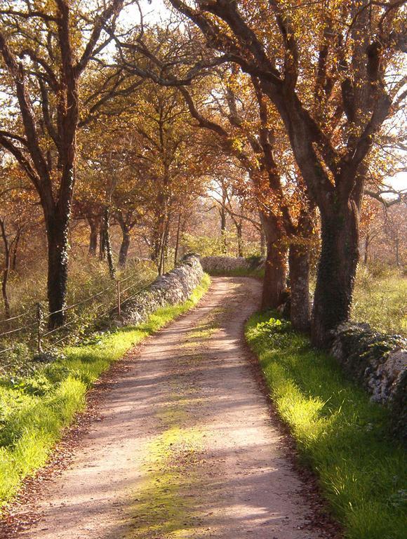 Masseria Ferri ออสตูนี ภายนอก รูปภาพ