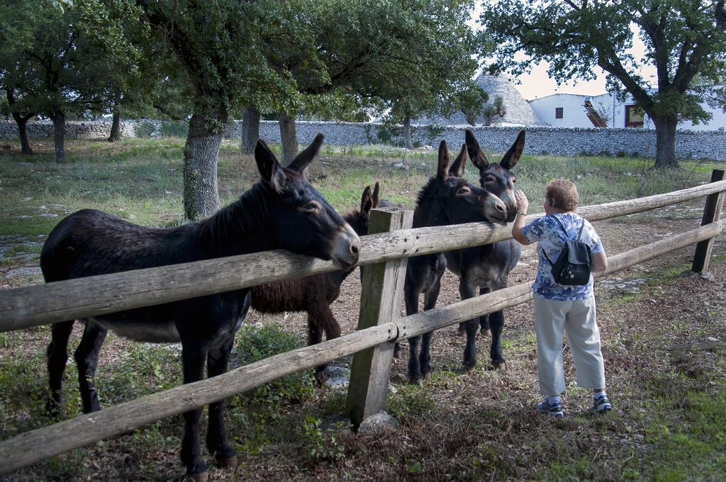 Masseria Ferri ออสตูนี ภายนอก รูปภาพ